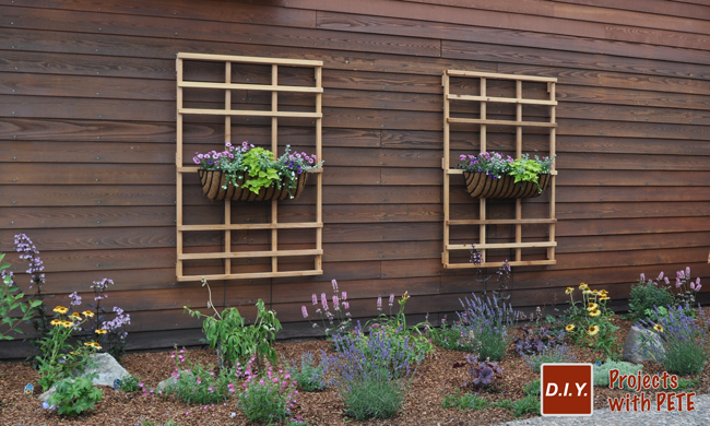 dark wooden planter with trelis