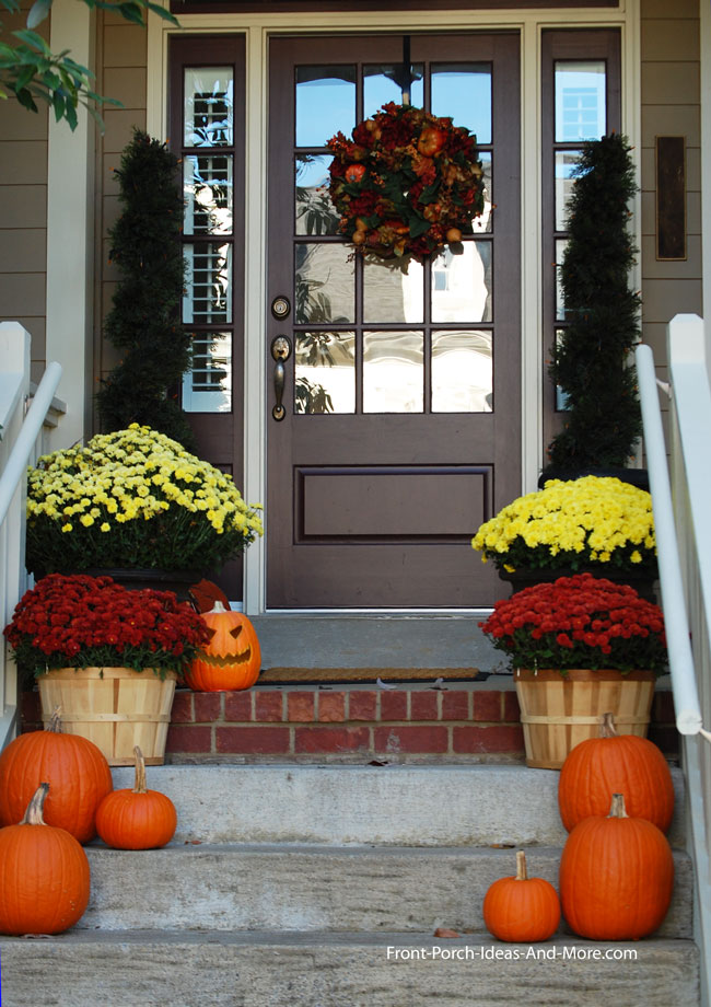 autumn array of pumpkins and mums