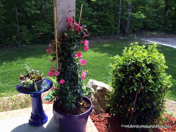 home made flower pot trellis for climbing plant