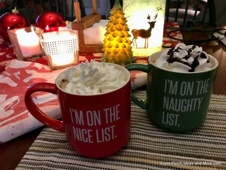 Our Christmas lights on our porch