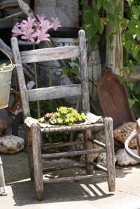 old chair with yellow flowers