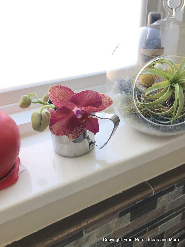 orchid blossoms in small silver pitcher