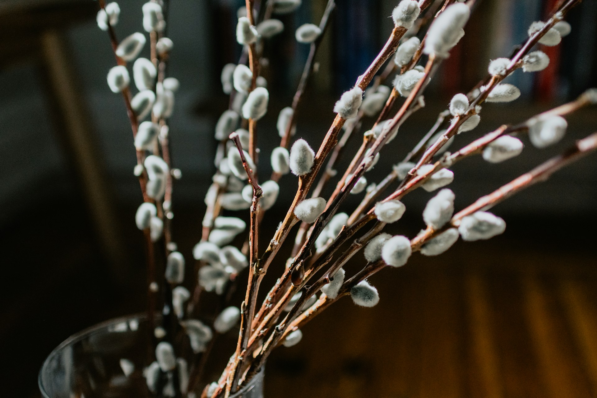 apartment porch christmas decorations from unsplash