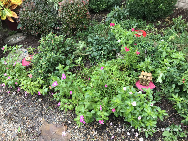 plastic container in garden area