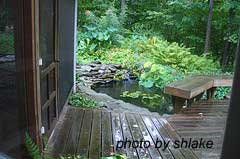 Water garden beside porch