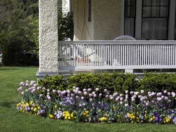 Natural landscape skirting