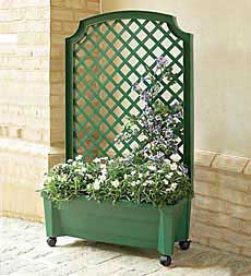 create privacy with this planter