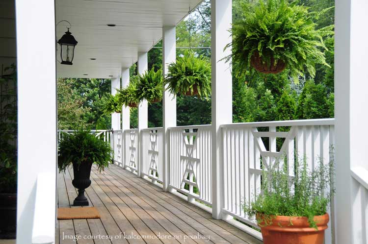 porch with railings and ferns