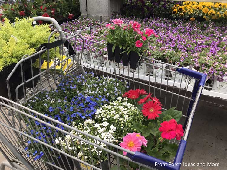 shopping for flowers in spring
