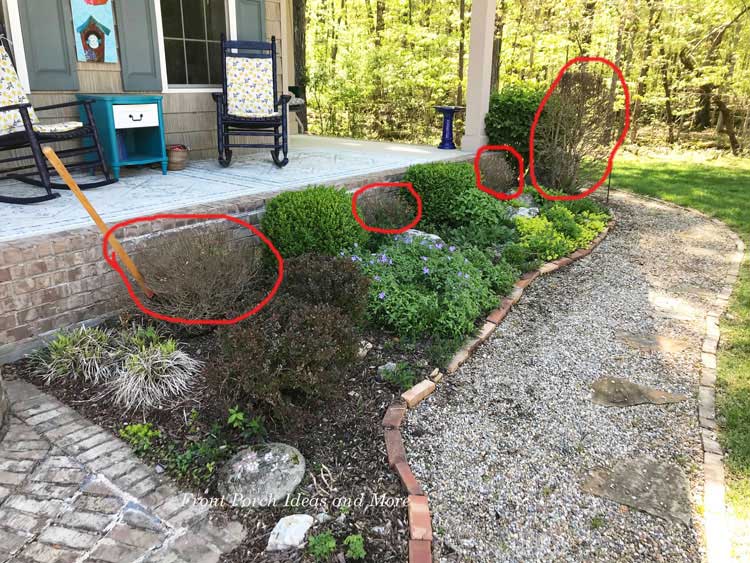 our spring landscaping