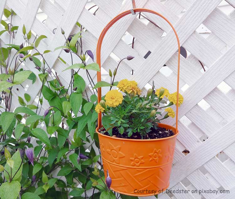 trellis with hanging orange bucket stuffed with flowers