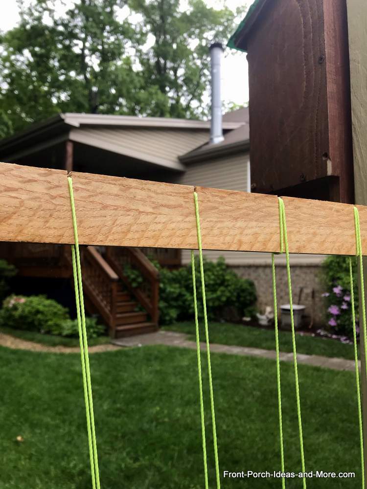 A diy trellis made with twine