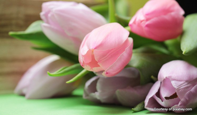 beautiful bouquet of tulips