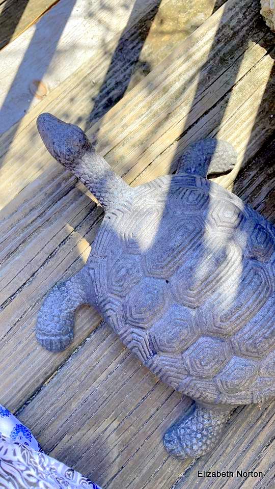 garden turtle