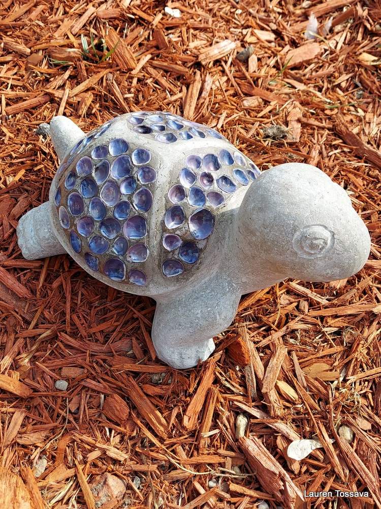 garden turtle