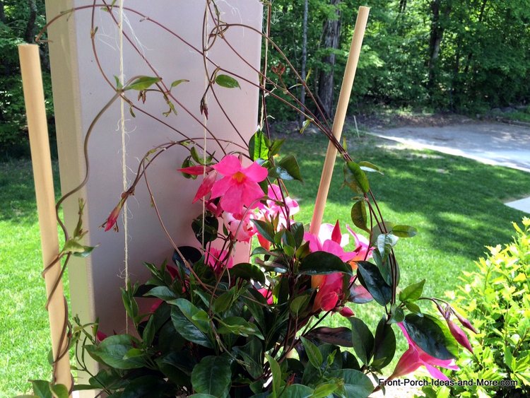 trellis support at top of porch column