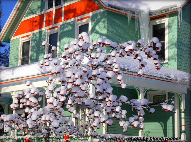 front porch in winter with snow covered foliage
