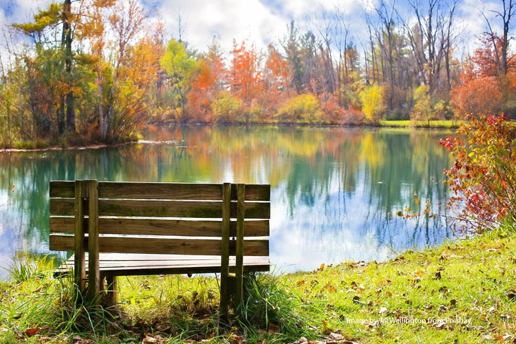 wood bench by pond in fall